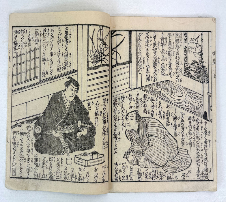 夜嵐阿衣花廼仇夢 (Yoarashi Okinu Hana no Adayume) - Pair of Meiji Woodblock-Illustrated Volumes, 1878