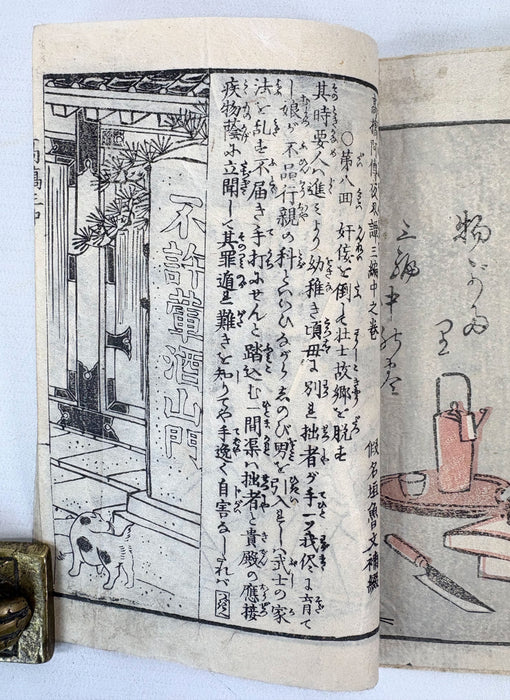 夜嵐阿衣花廼仇夢 (Yoarashi Okinu Hana no Adayume) - Pair of Meiji Woodblock-Illustrated Volumes, 1878