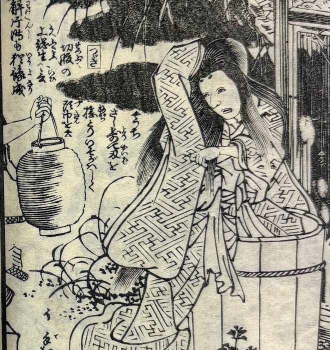 夜嵐阿衣花廼仇夢 (Yoarashi Okinu Hana no Adayume) - Pair of Meiji Woodblock-Illustrated Volumes, 1878
