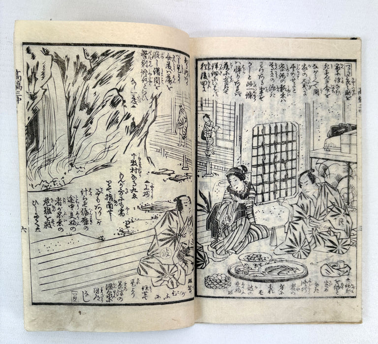 夜嵐阿衣花廼仇夢 (Yoarashi Okinu Hana no Adayume) - Pair of Meiji Woodblock-Illustrated Volumes, 1878