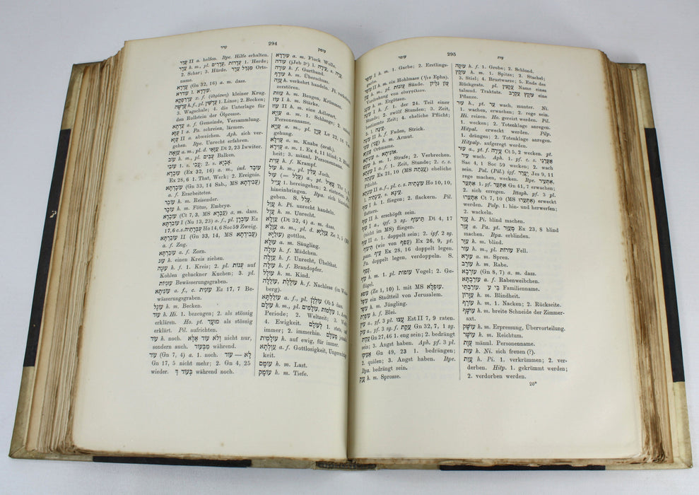 Aramaisch-Neuhebraisches Worterbuch, zu Targum, Talmud und Midrasch, mit Lexicon Der Abbreviaturen, D. Dr. Gustaf H. Daman, G.H. Handler, 1897-1901.