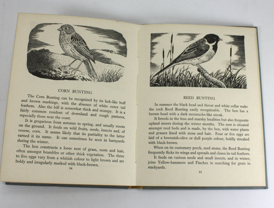 Birds of the Hill Moor and Marsh, Eric Tansley