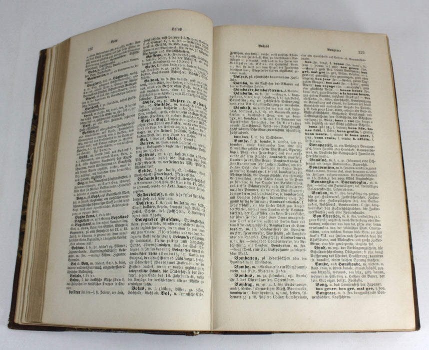Dr. Joh. Christ. Aug. Heyse's Allgemeines verdeutschendes und erklärendes Fremdwörterbuch, 1879
