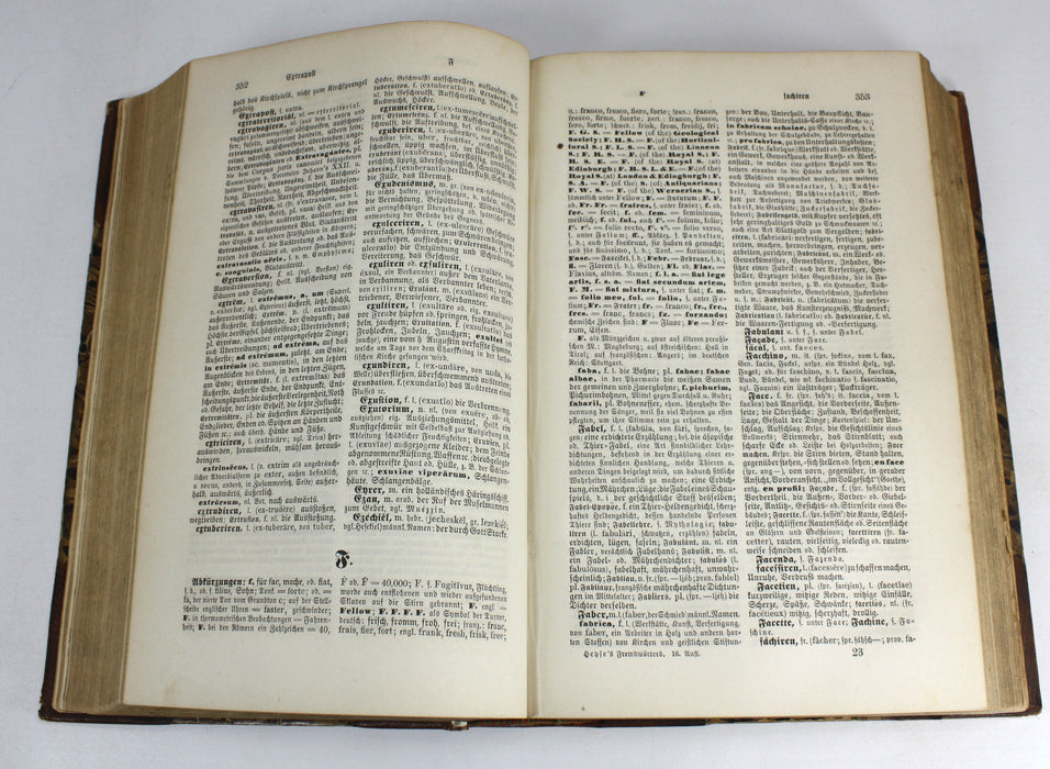Dr. Joh. Christ. Aug. Heyse's Allgemeines verdeutschendes und erklärendes Fremdwörterbuch, 1879