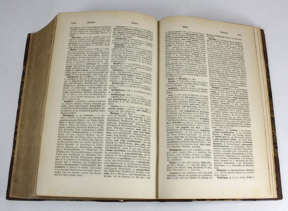 Dr. Joh. Christ. Aug. Heyse's Allgemeines verdeutschendes und erklärendes Fremdwörterbuch, 1879