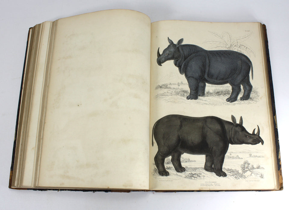 The Edinburgh Journal of Natural History, The Animal Kingdom of Baron Cuvier, 1835-1839, William Macgillivray