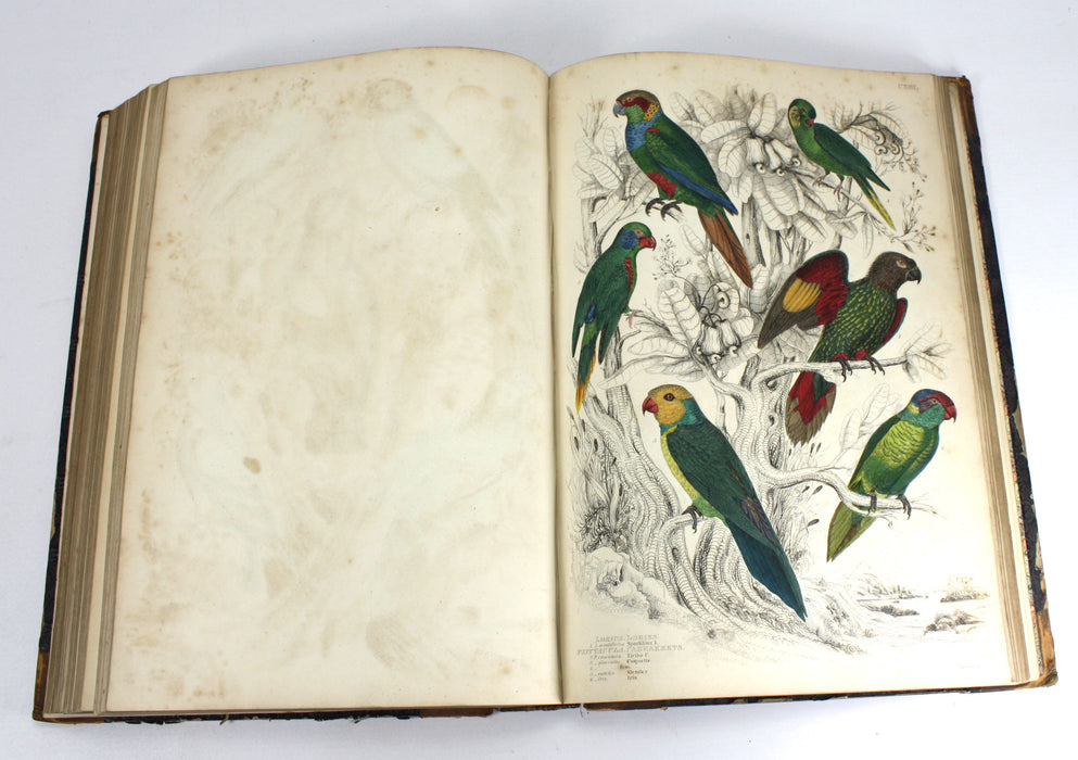 The Edinburgh Journal of Natural History, The Animal Kingdom of Baron Cuvier, 1835-1839, William Macgillivray