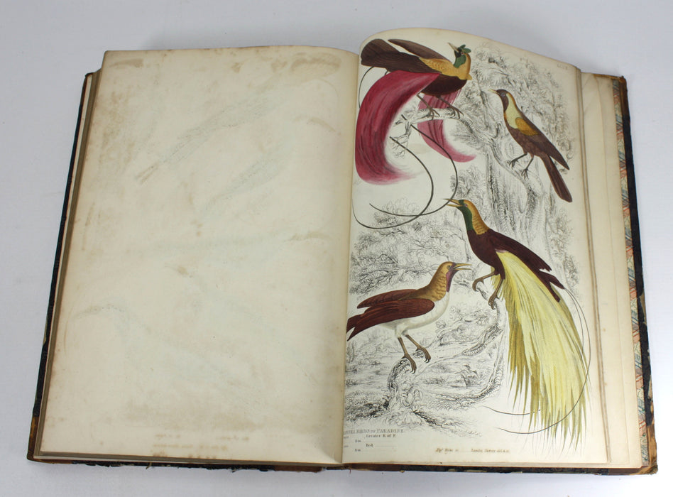 The Edinburgh Journal of Natural History, The Animal Kingdom of Baron Cuvier, 1835-1839, William Macgillivray