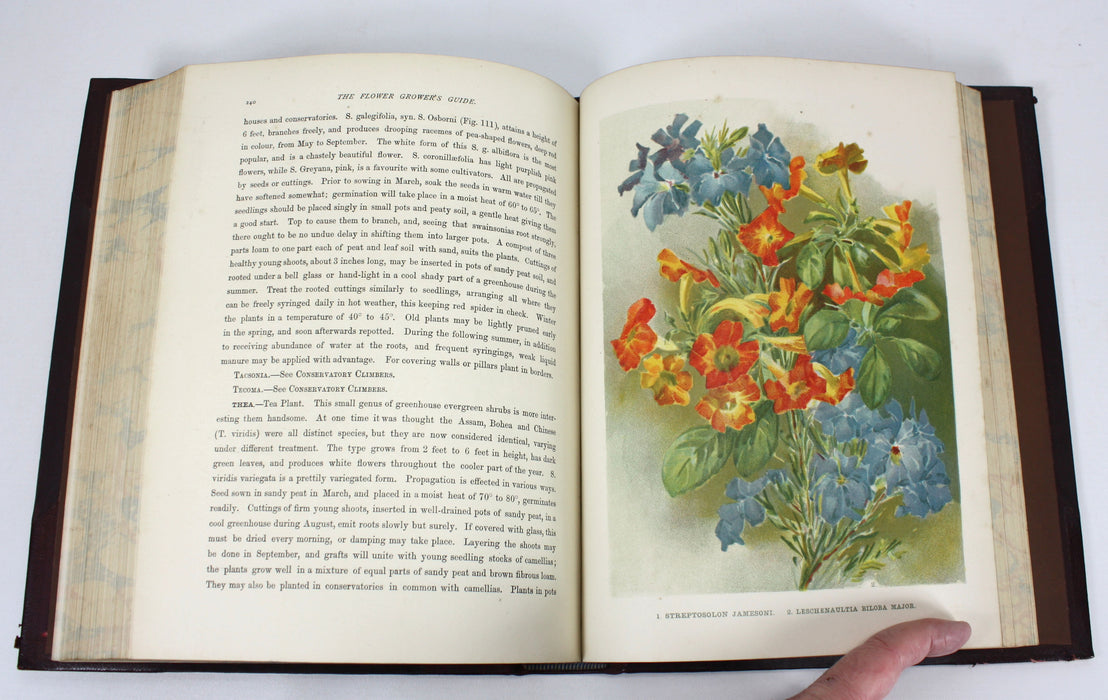 The Flower Grower's Guide, John Wright, 3 volumes complete, 1897