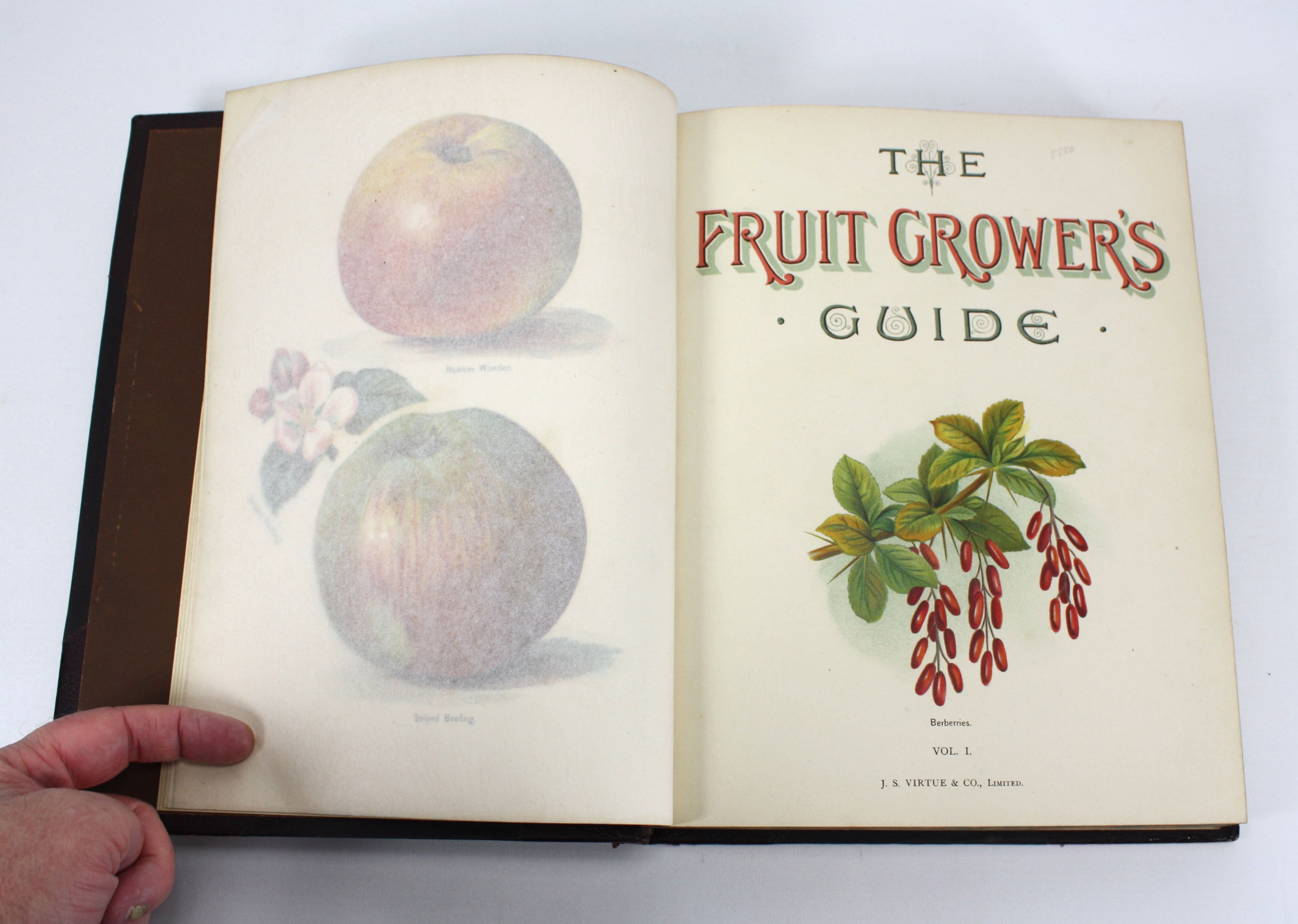 The Fruit Grower's Guide, John Wright, 2 volumes, 1892 — Lanna Antique