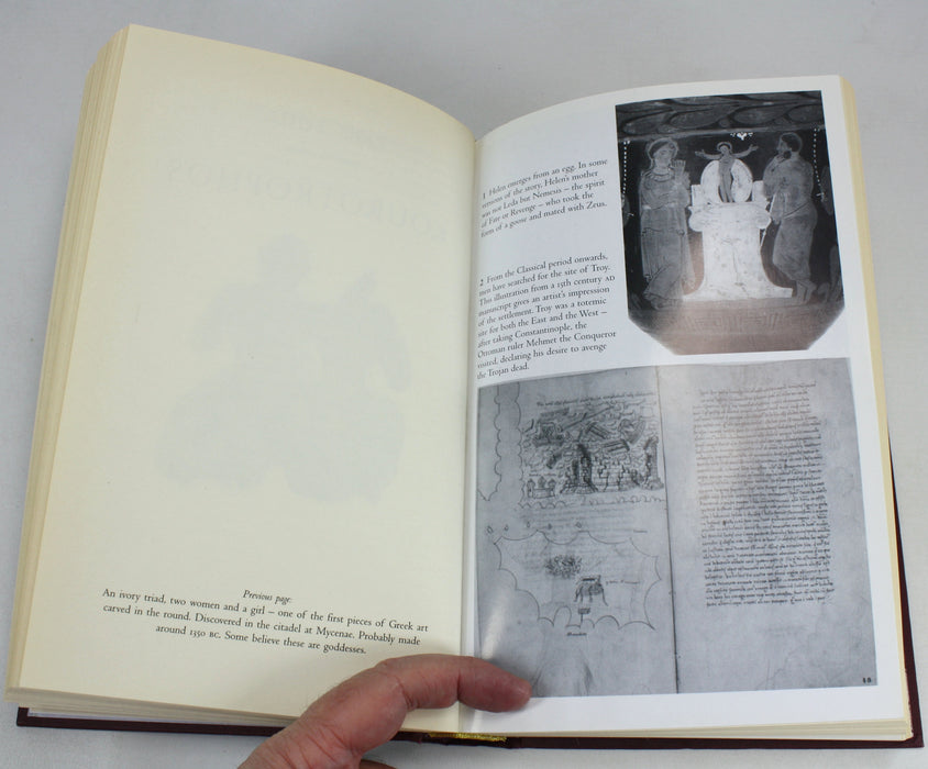 Helen of Troy; Goddess, Princess, Whore, by Bettany Hughes, first edition, 2005