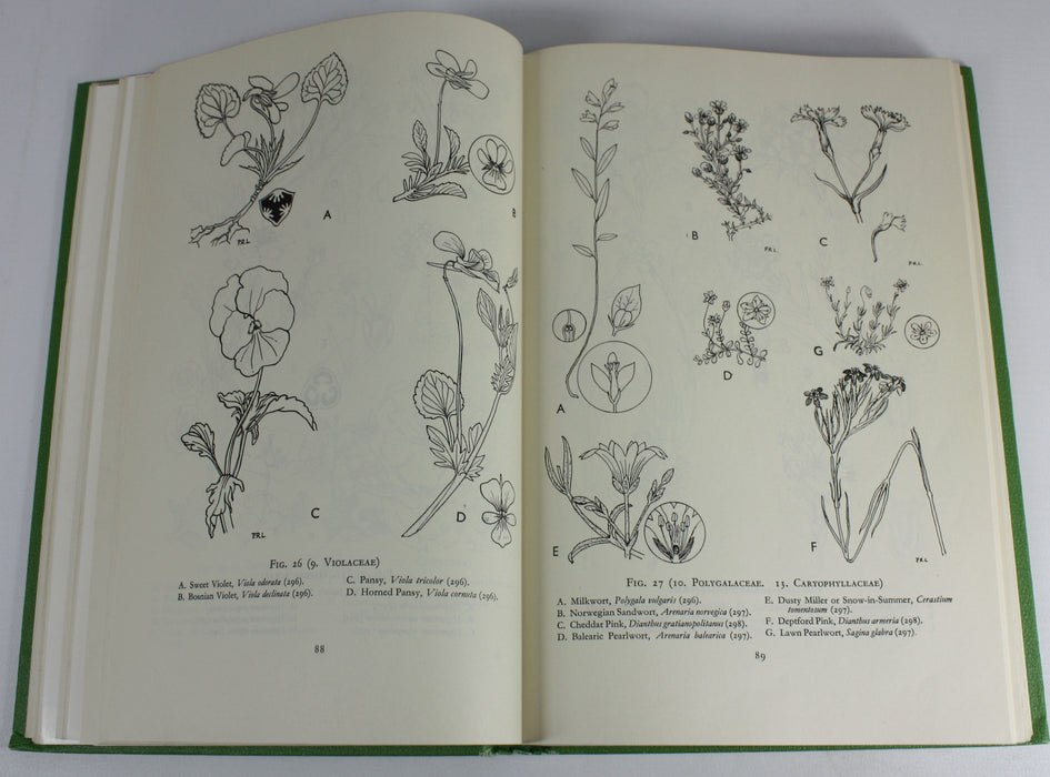 Herbaceous Garden Flora, F K Makins, 1957