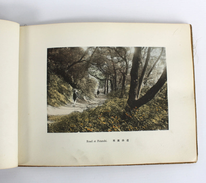 Hills In Kobe, T. Takagi, 1915. 高木庭次郎