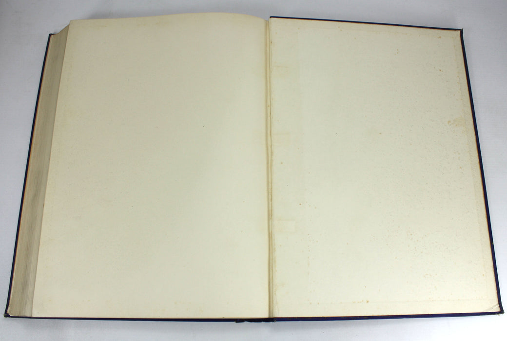 Synopticon, An Exposition of the Common Matter of the Synoptic Gospels, W.G. Rushbrooke, 1880