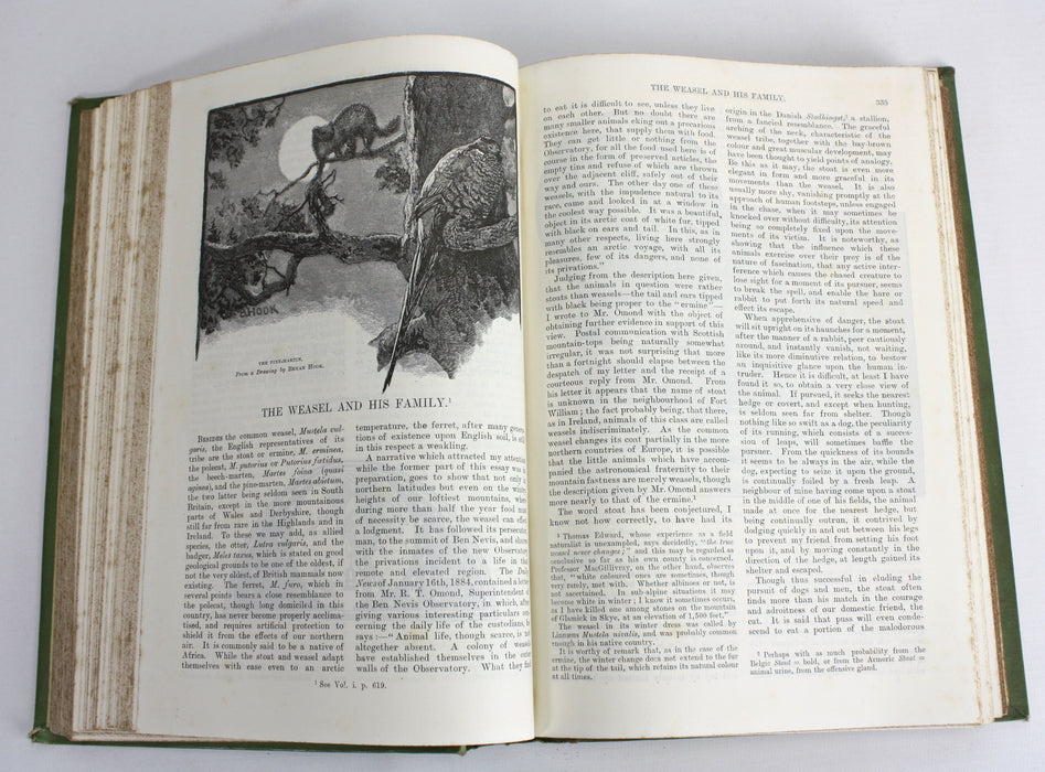 The English Illustrated Magazine, 1887-88