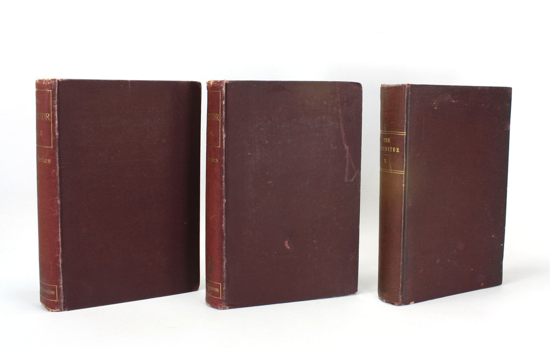 Theology Bundle: The Expositor Sixth Series book collection, 1901-1902.