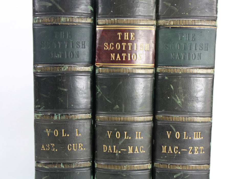 The Scottish Nation, William Anderson, 3 Volumes, Fullarton 1863