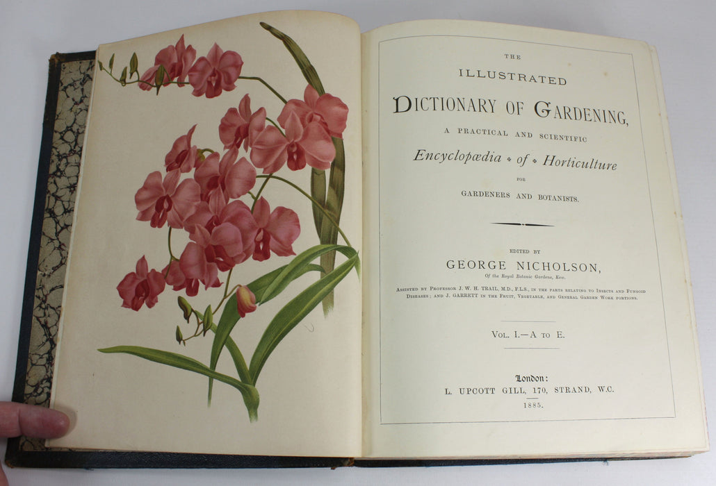 The illustrated Dictionary of Gardening, George Nicholson, 4 Volumes Complete with Supplement, 1885 - 1888