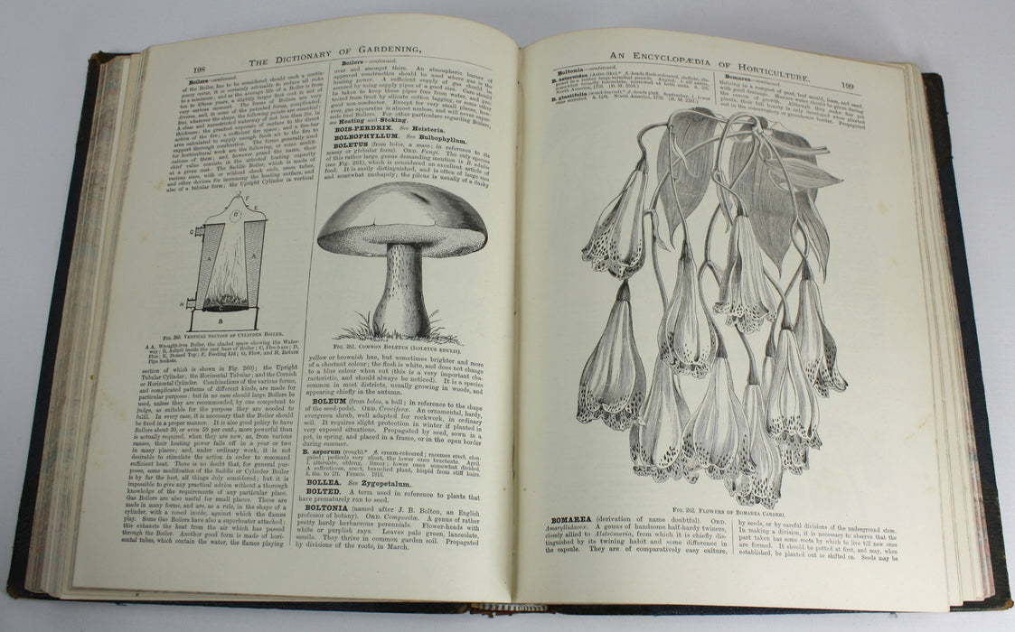 The illustrated Dictionary of Gardening, George Nicholson, 4 Volumes Complete with Supplement, 1885 - 1888