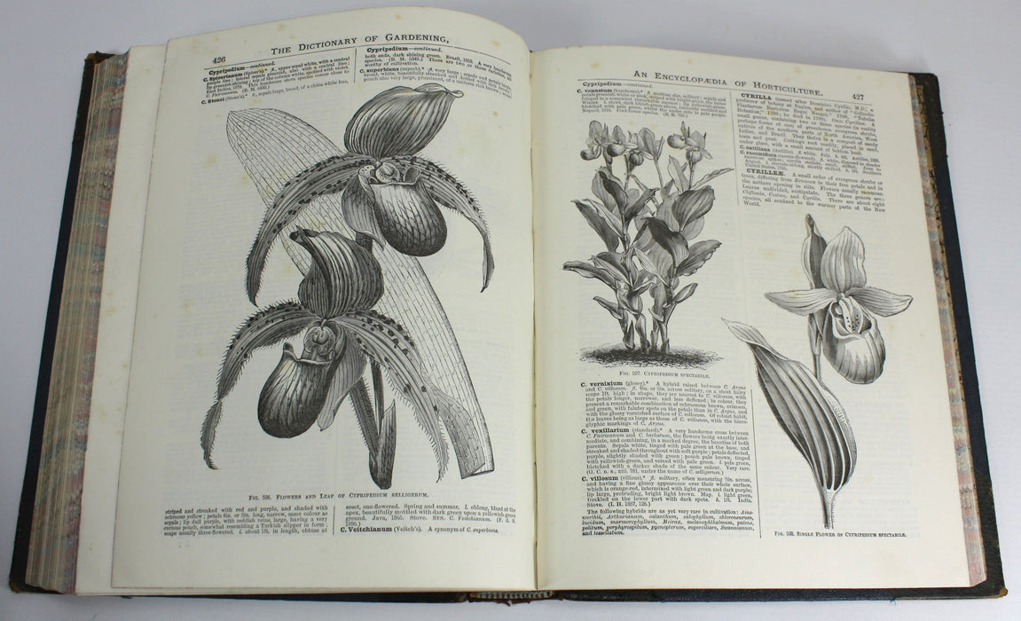 The illustrated Dictionary of Gardening, George Nicholson, 4 Volumes Complete with Supplement, 1885 - 1888