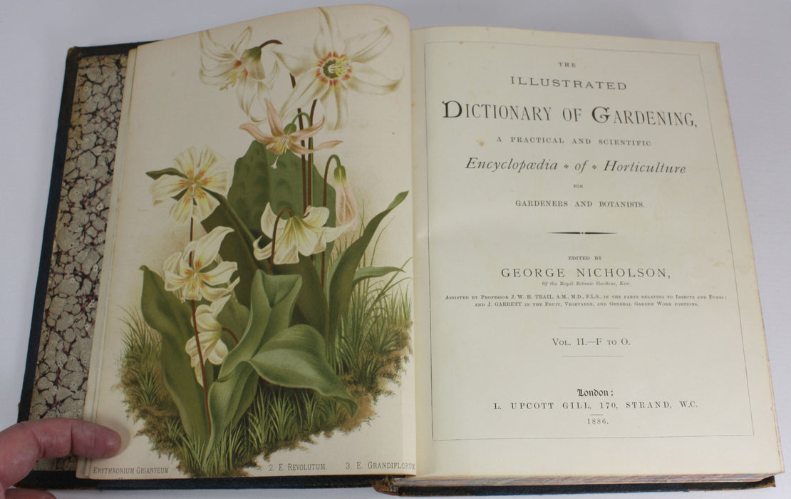 The illustrated Dictionary of Gardening, George Nicholson, 4 Volumes Complete with Supplement, 1885 - 1888