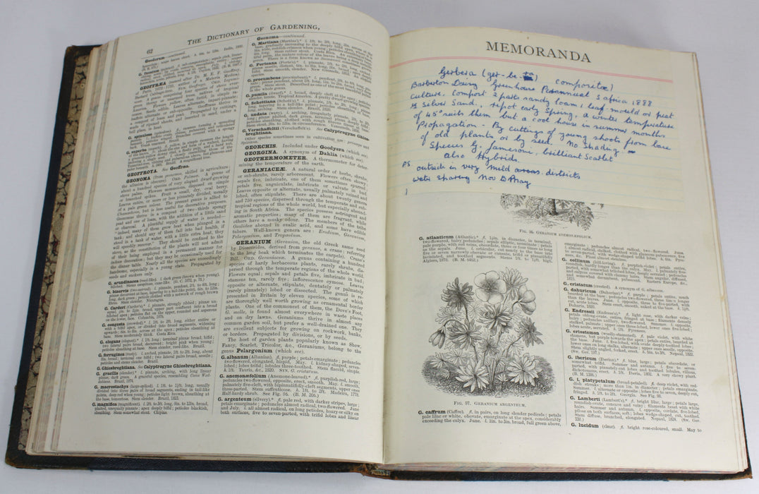 The illustrated Dictionary of Gardening, George Nicholson, 4 Volumes Complete with Supplement, 1885 - 1888