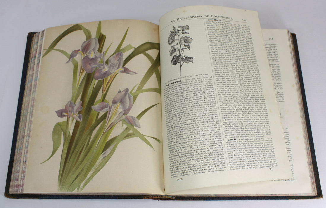 The illustrated Dictionary of Gardening, George Nicholson, 4 Volumes Complete with Supplement, 1885 - 1888