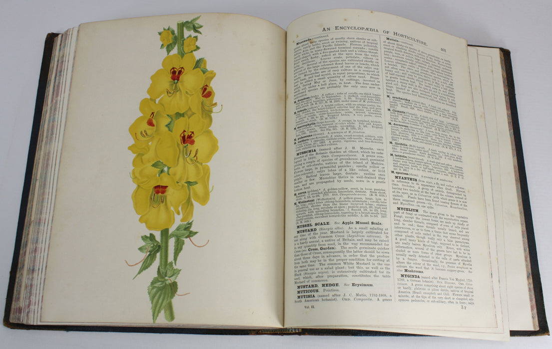 The illustrated Dictionary of Gardening, George Nicholson, 4 Volumes Complete with Supplement, 1885 - 1888