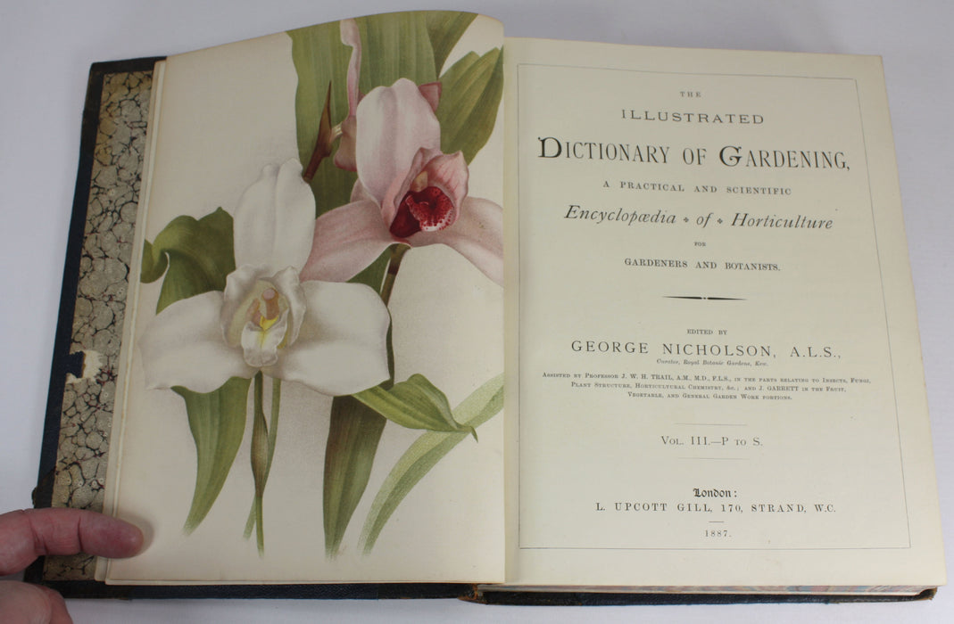 The illustrated Dictionary of Gardening, George Nicholson, 4 Volumes Complete with Supplement, 1885 - 1888