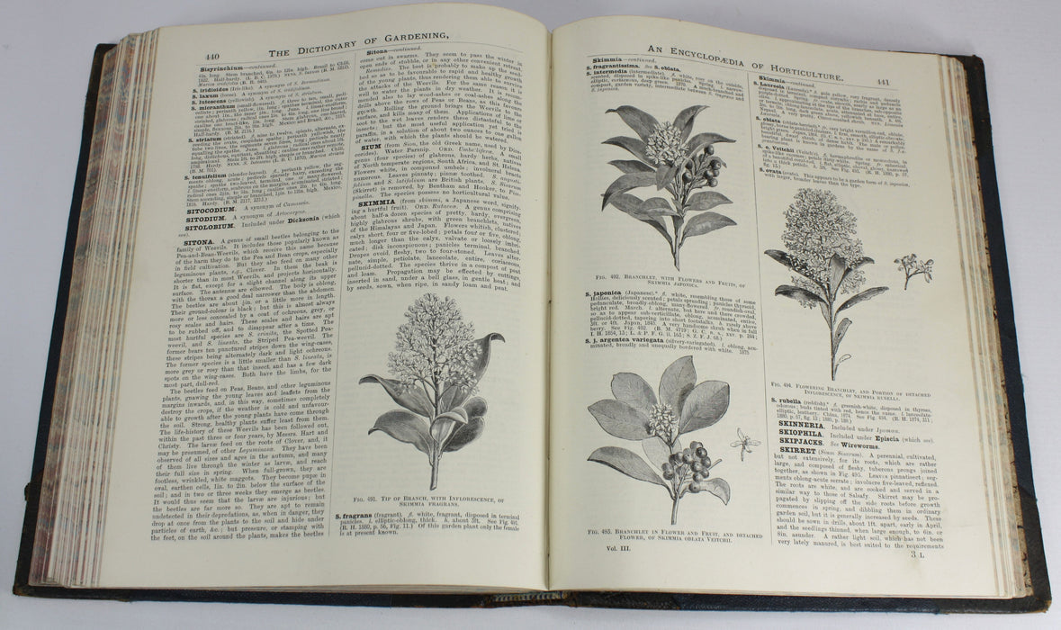 The illustrated Dictionary of Gardening, George Nicholson, 4 Volumes Complete with Supplement, 1885 - 1888