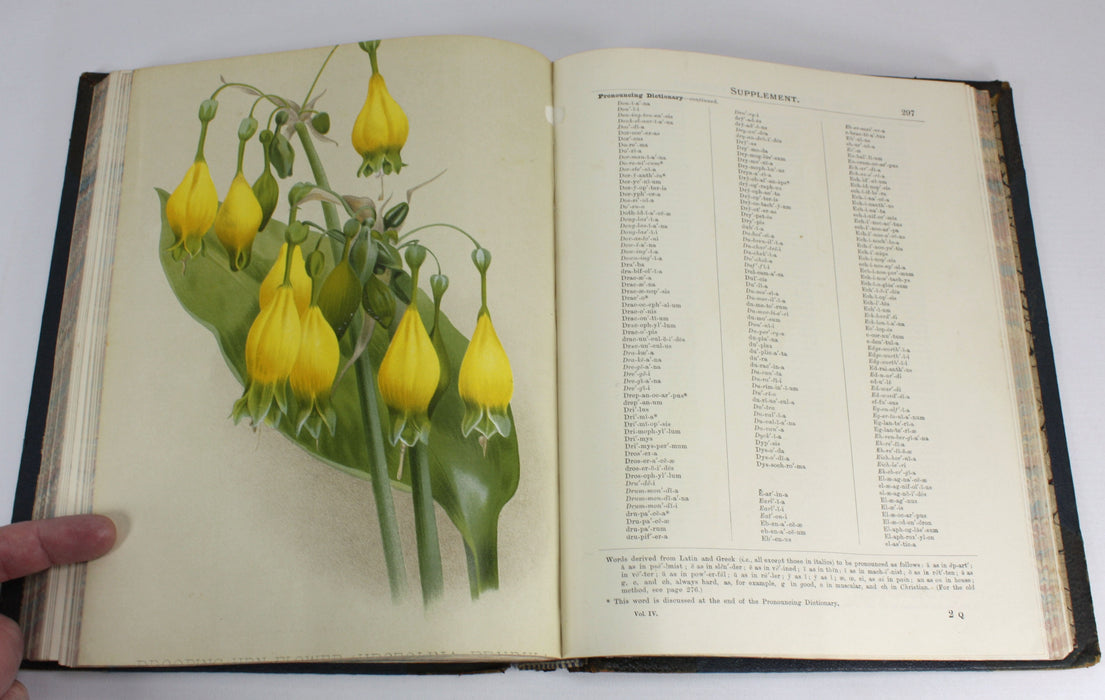 The illustrated Dictionary of Gardening, George Nicholson, 4 Volumes Complete with Supplement, 1885 - 1888