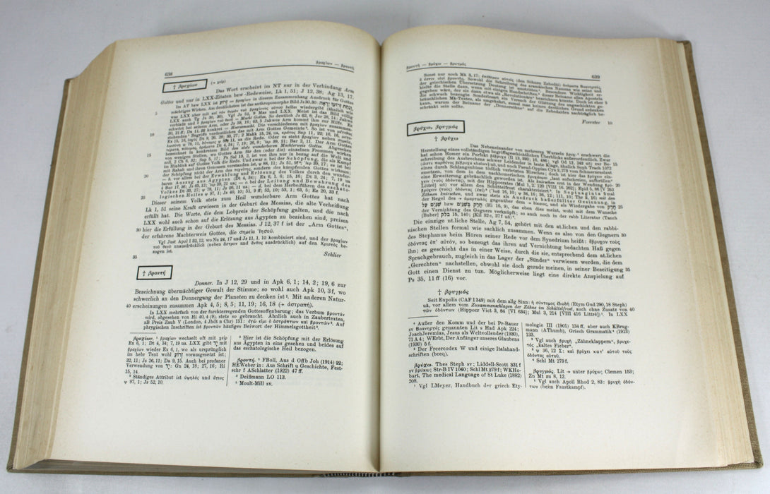 Theologisches Worterbuch Zum Neuen Testament, 11 Volumes Complete