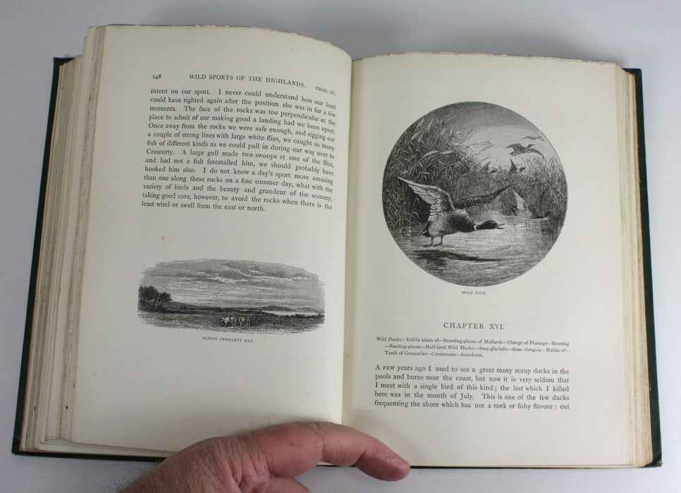 Sketches of Wild Sports & Natural History of the Highlands by Charles St John, Illustrated Edition 1878