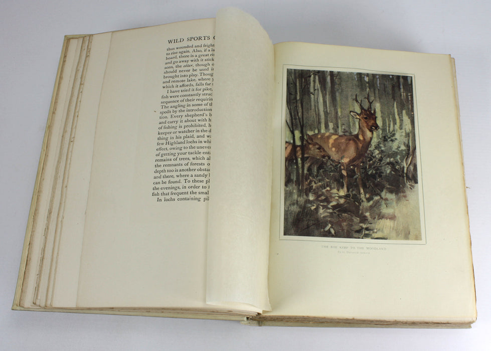Wild Sports & Natural History of the Highlands by Charles St John, Deluxe Vellum Edition 1919