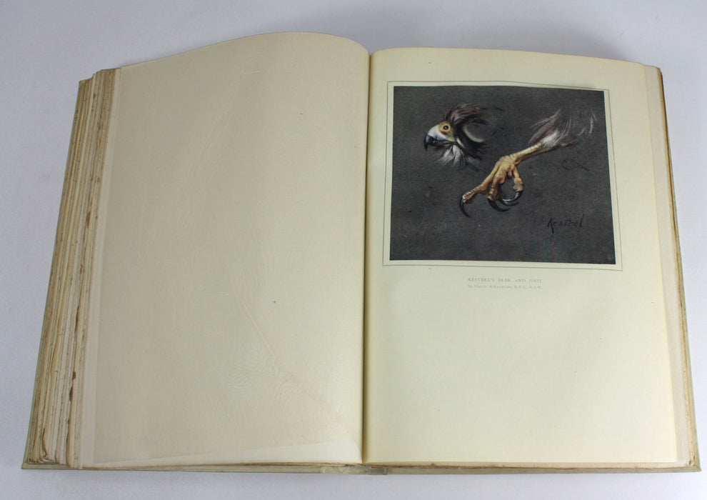 Wild Sports & Natural History of the Highlands by Charles St John, Deluxe Vellum Edition 1919