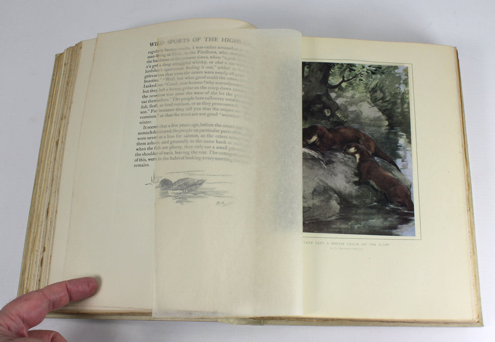 Wild Sports & Natural History of the Highlands by Charles St John, Deluxe Vellum Edition 1919