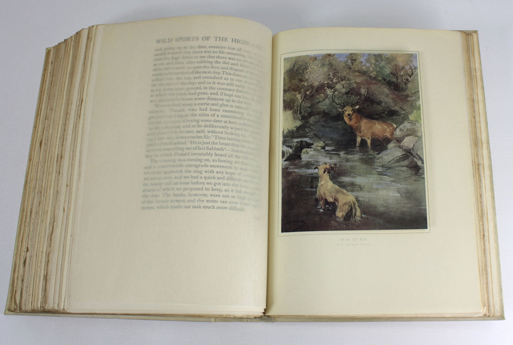 Wild Sports & Natural History of the Highlands by Charles St John, Deluxe Vellum Edition 1919