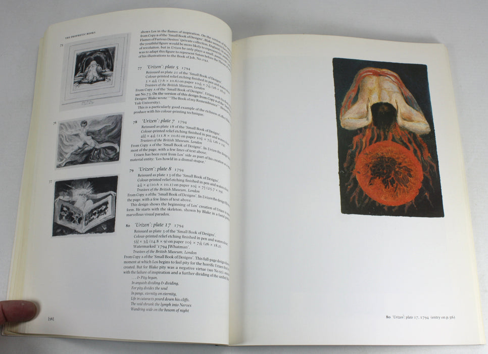 William Blake, by Martin Butlin, Tate Gallery Exhibition Guide, 1978.
