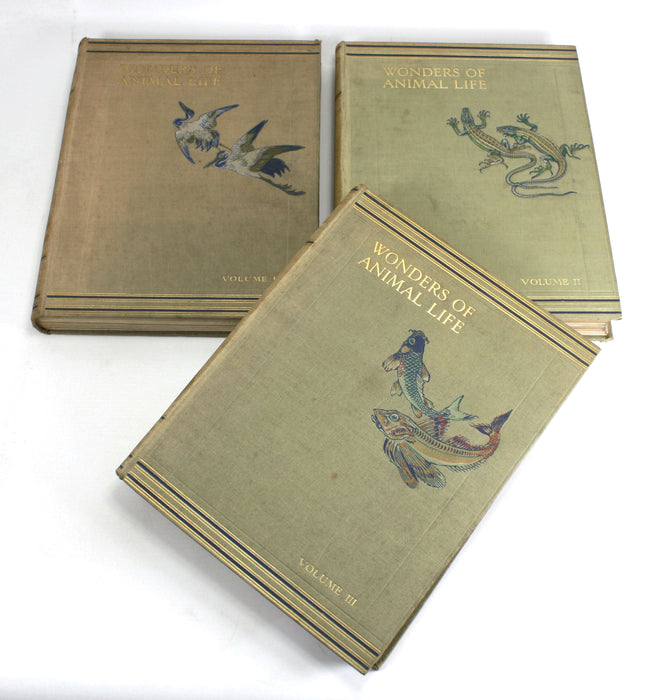 Wonders of Animal Life, 3 Volumes. J.A. Hammerton