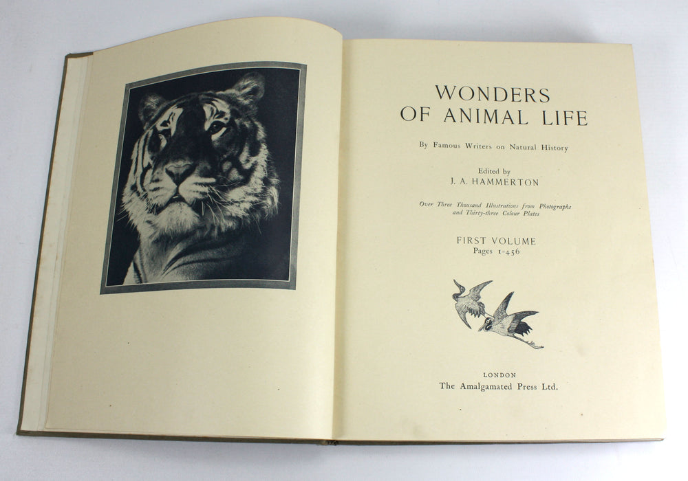 Wonders of Animal Life, 3 Volumes. J.A. Hammerton