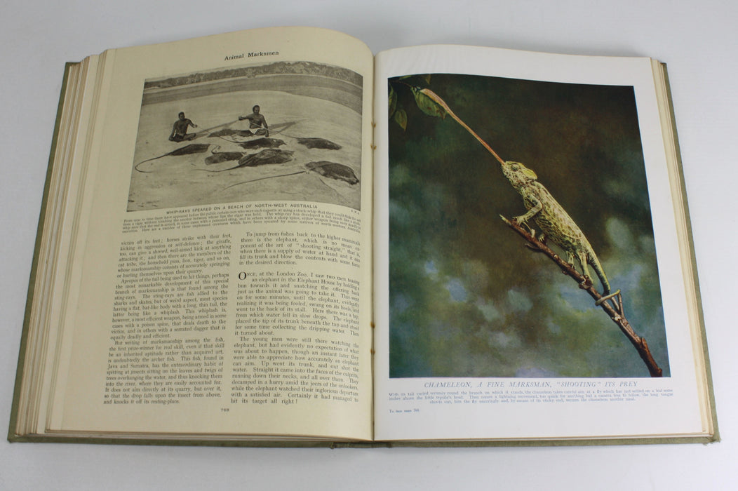 Wonders of Animal Life, 3 Volumes. J.A. Hammerton