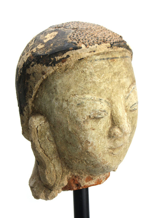 Burmese Shan Stucco on Terracotta Buddha Head, 18th Century