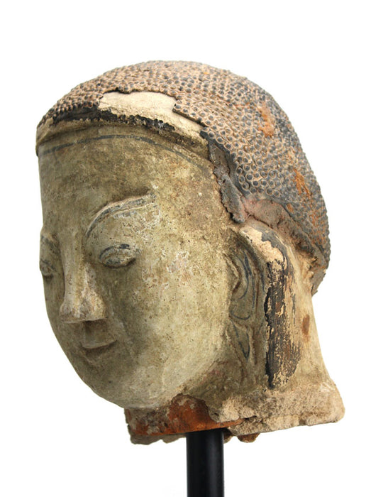 Burmese Shan Stucco on Terracotta Buddha Head, 18th Century