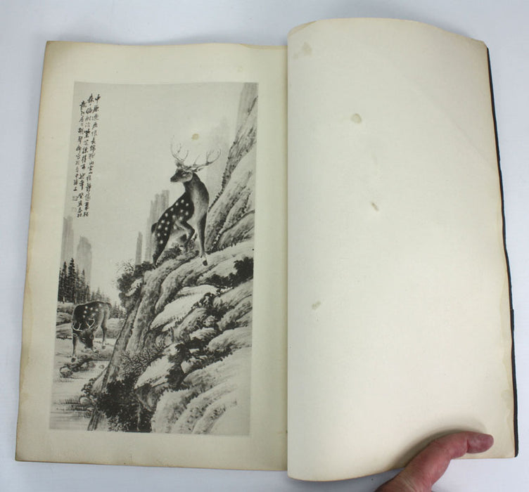 2 Volume Set of Hu Tanqing's Paintings. 胡郯卿先生畫集