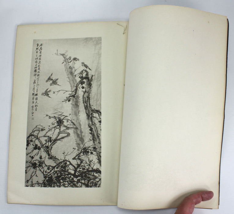 2 Volume Set of Hu Tanqing's Paintings. 胡郯卿先生畫集