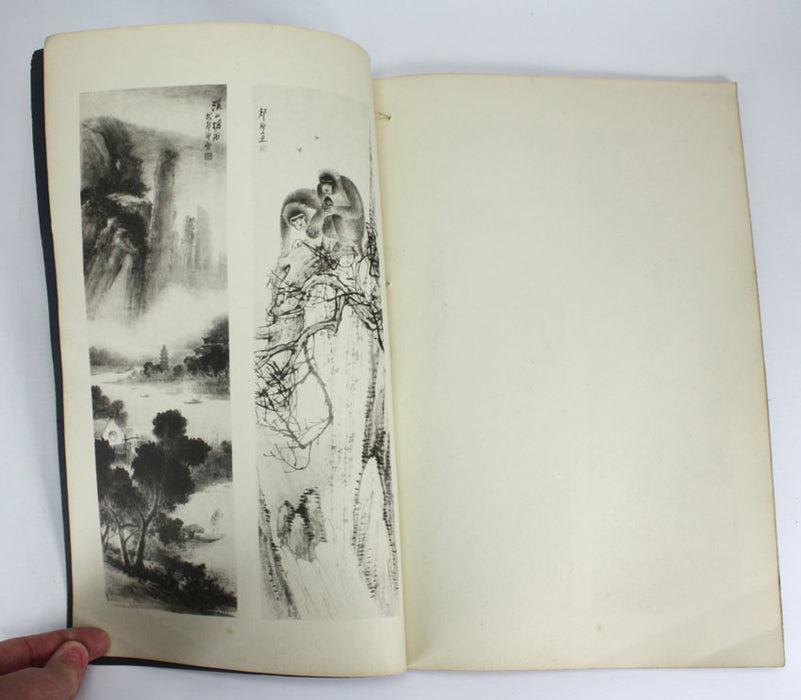 2 Volume Set of Hu Tanqing's Paintings. 胡郯卿先生畫集