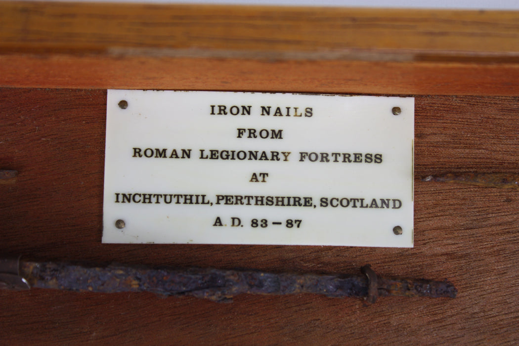 Inchtuthil Roman Nails Presentation Set, AD 83-87, plus Booklet