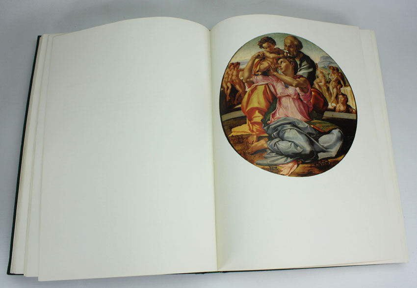 Michelangelo the Painter, Valerio Mariani