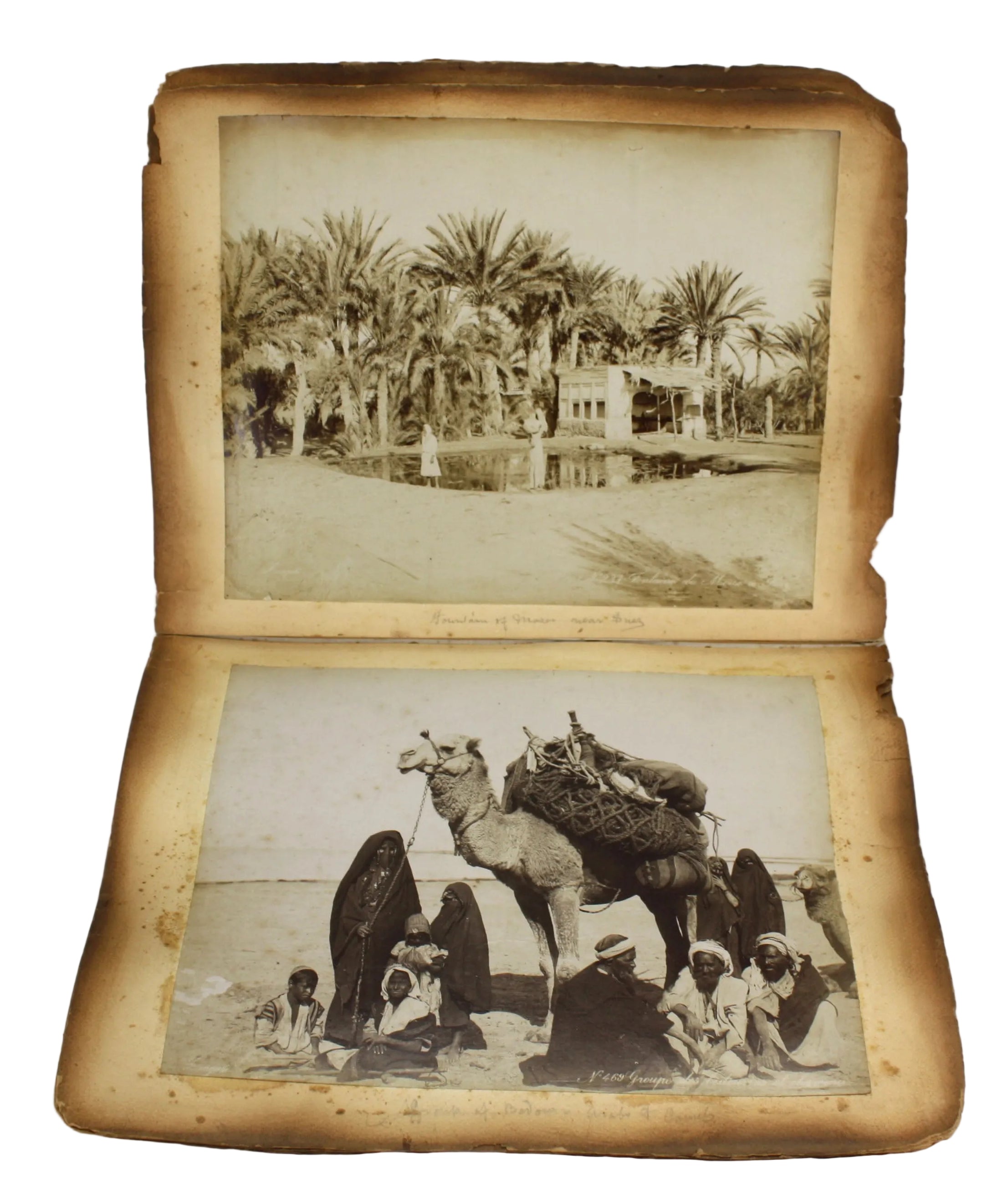 Zangaki.Egypte.Edfou vue générale du Teple.Photo Albuinée 21,5x28c